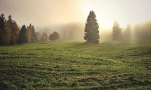 prigodne molitve_Molitva za blagoslov